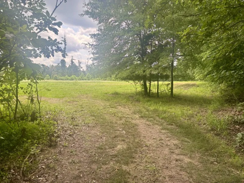 294 Haskell Winton Rd Manchester, TN 37355