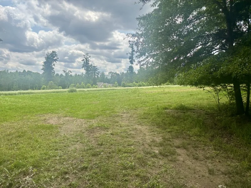 294 Haskell Winton Rd Manchester, TN 37355