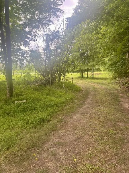 294 Haskell Winton Rd Manchester, TN 37355