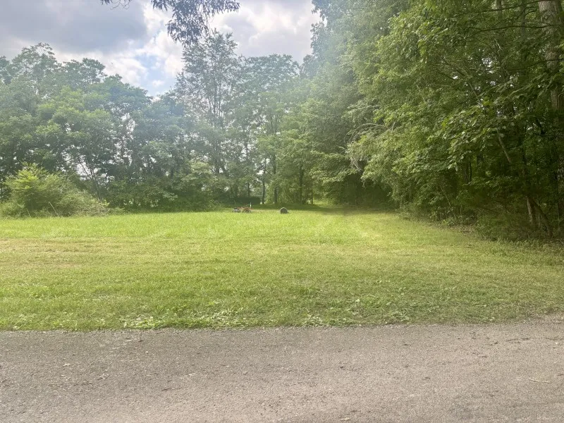 294 Haskell Winton Rd Manchester, TN 37355