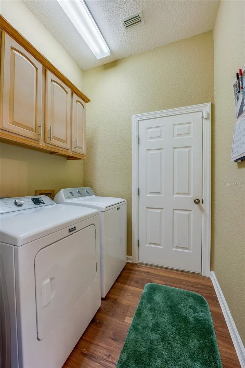 1259 AVENIDA DE LAS CASAS Lady Lake, FL 32159