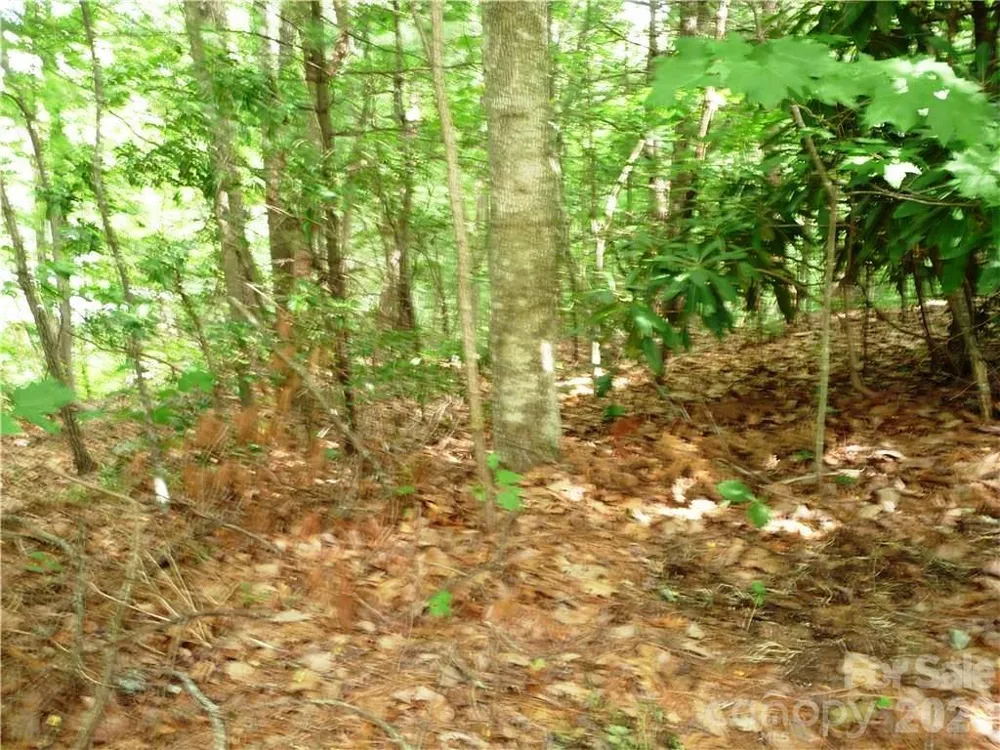 360 Kenmure Drive #4 Flat Rock, NC 28731
