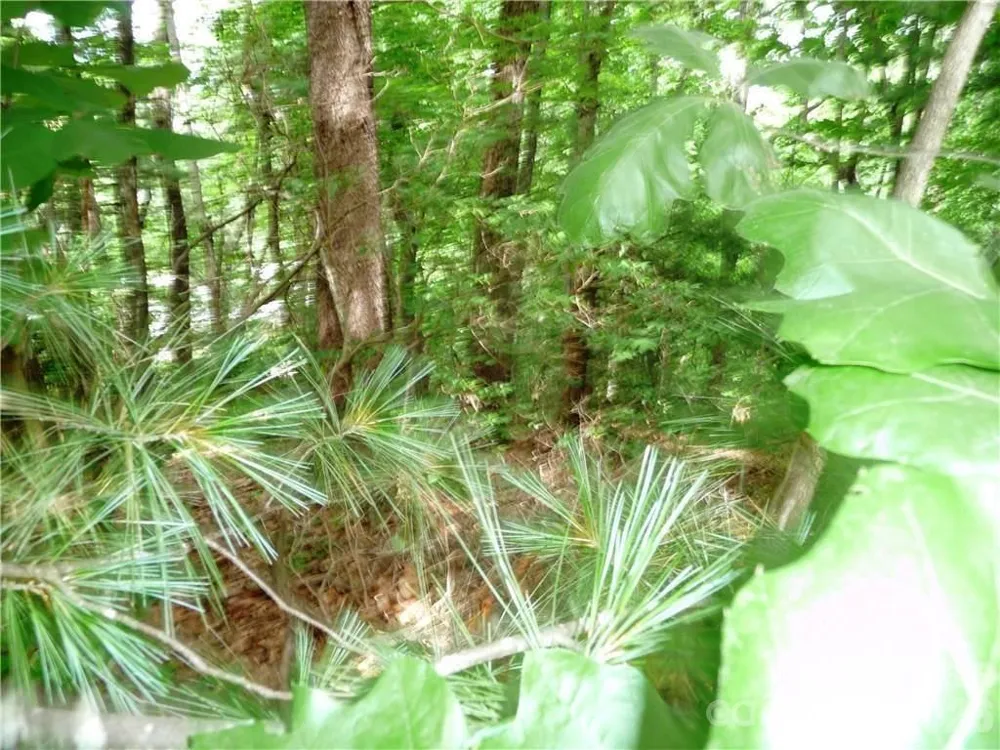 360 Kenmure Drive #4 Flat Rock, NC 28731