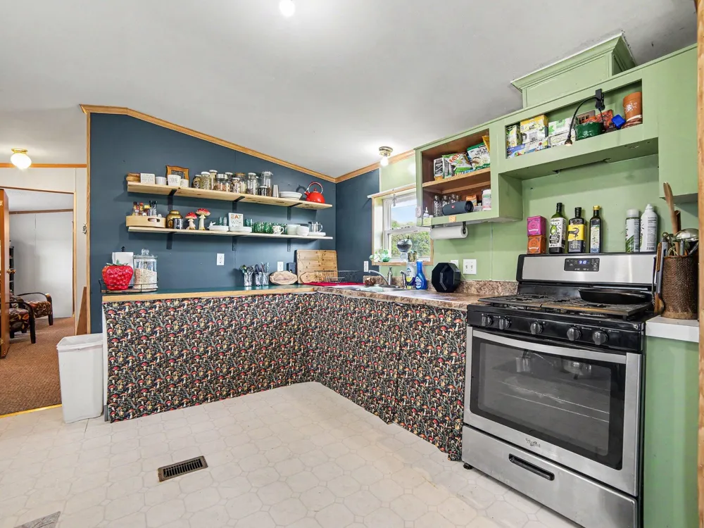 3598 64th Avenue Hart, MI 49420