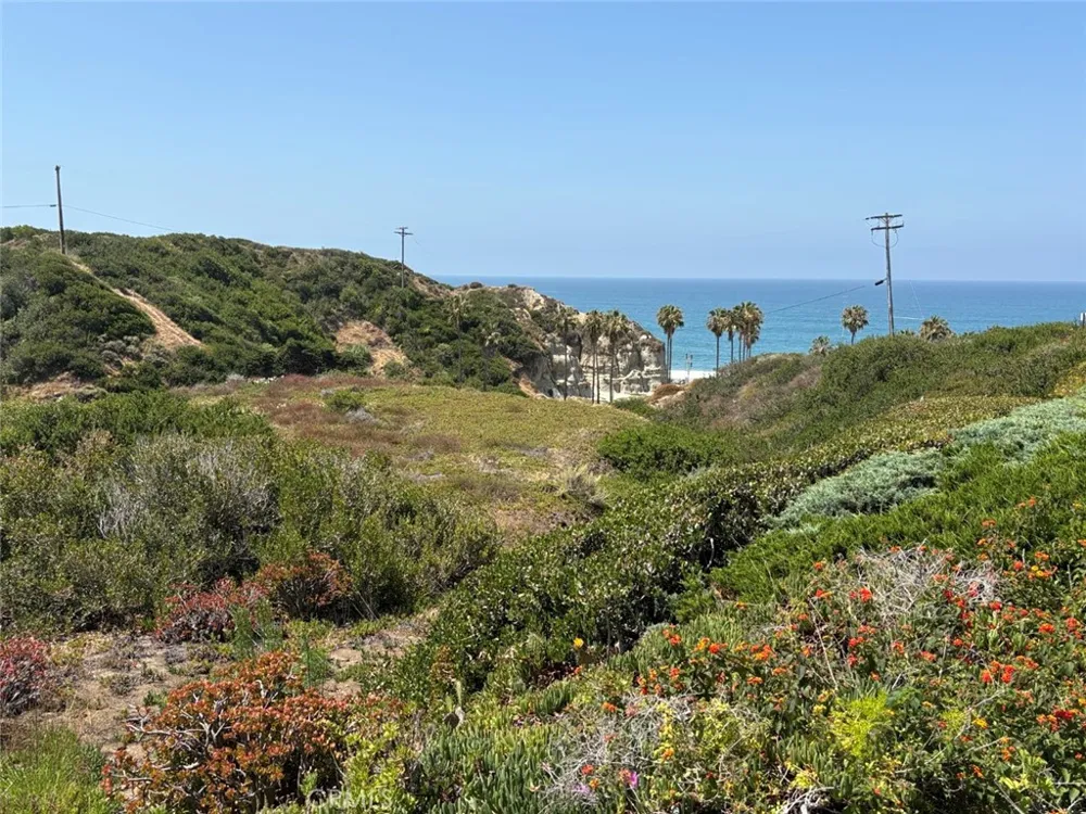 235 Avenida Lobeiro #113 San Clemente, CA 92672