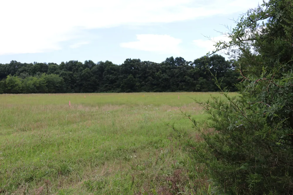 0 Laws Hill Road Lewisburg, TN 37091