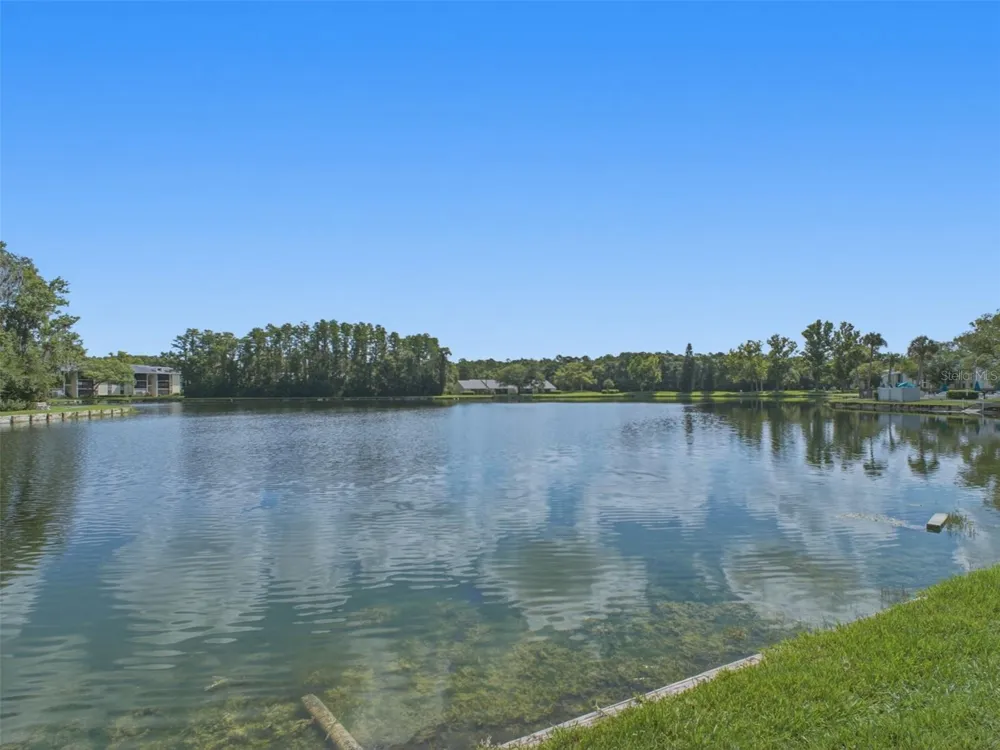3101 LAKE PINE WAY #A1 Tarpon Springs, FL 34688
