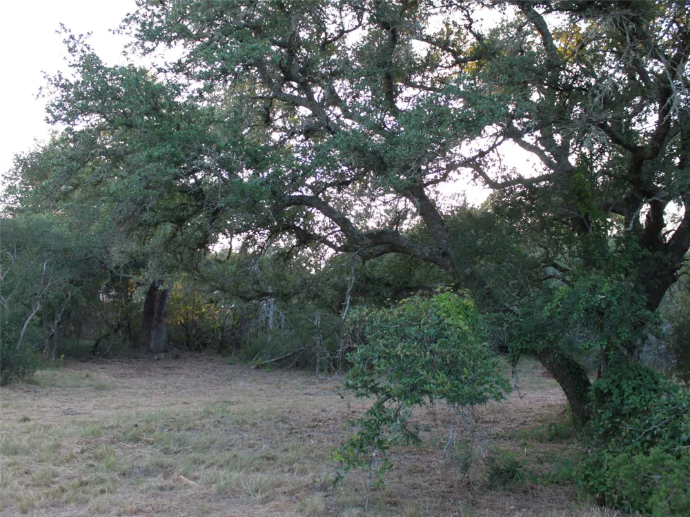 249 Grande Street Driftwood, TX 78619