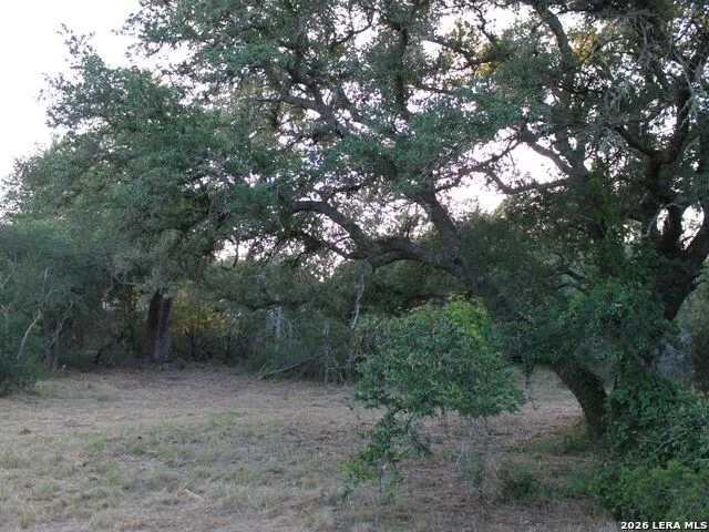 249 Grande St Driftwood, TX 78619