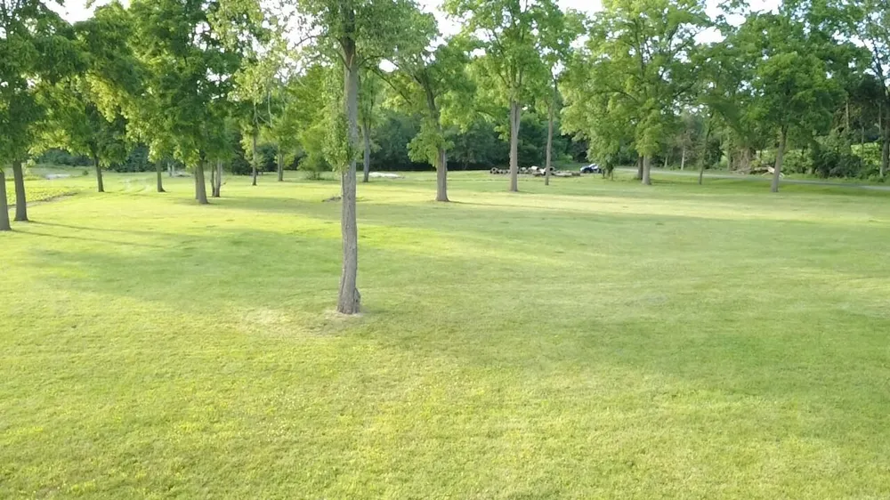 10290 Thorne Road Horton, MI 49246