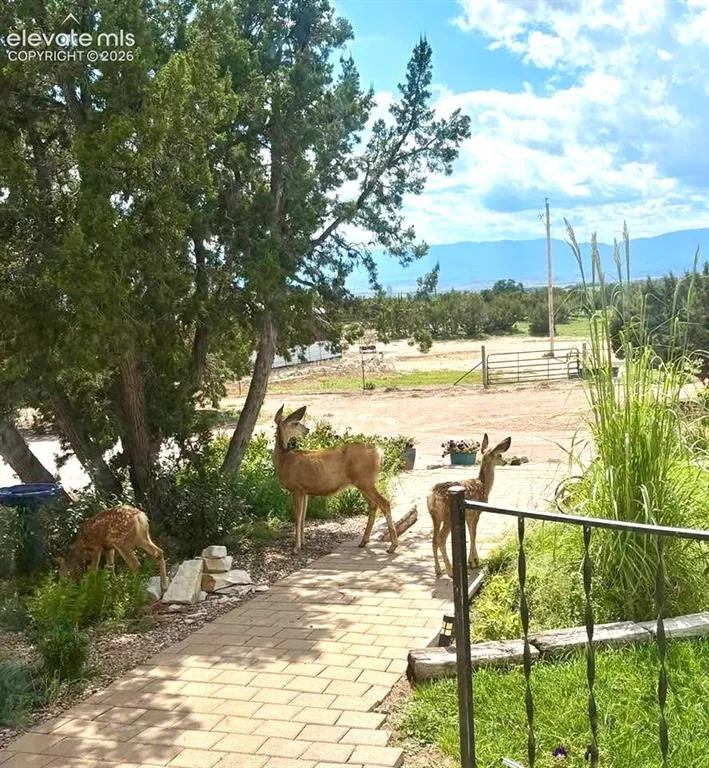 1000 S STREET Penrose, CO 81240