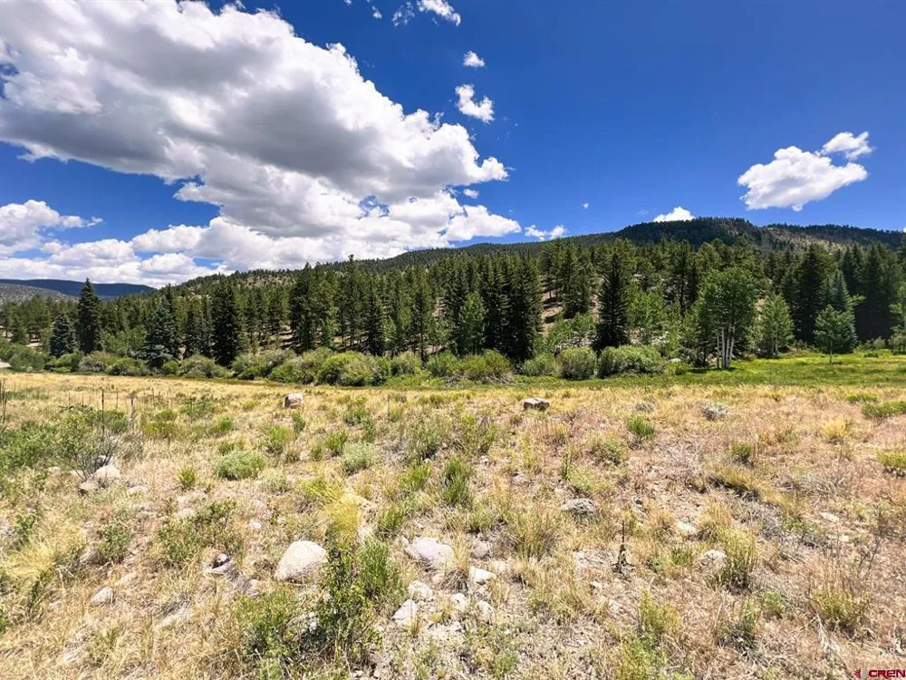 356 Church Creek Drive South Fork, CO 81154