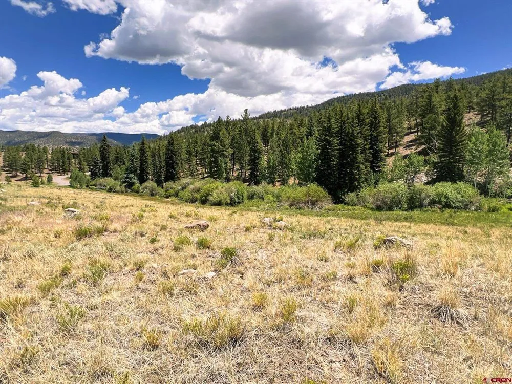 356 Church Creek Drive South Fork, CO 81154