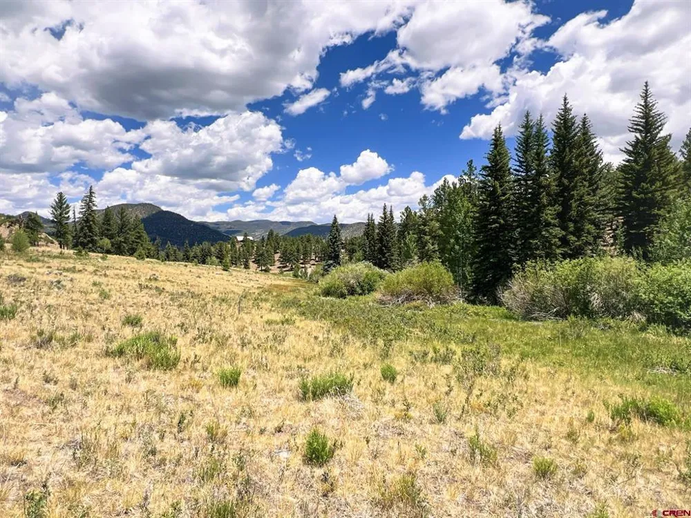 356 Church Creek Drive South Fork, CO 81154
