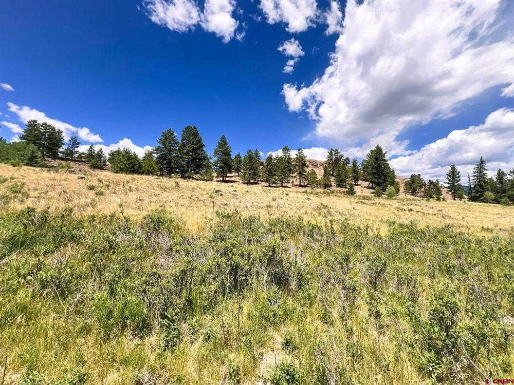 356 Church Creek Drive South Fork, CO 81154