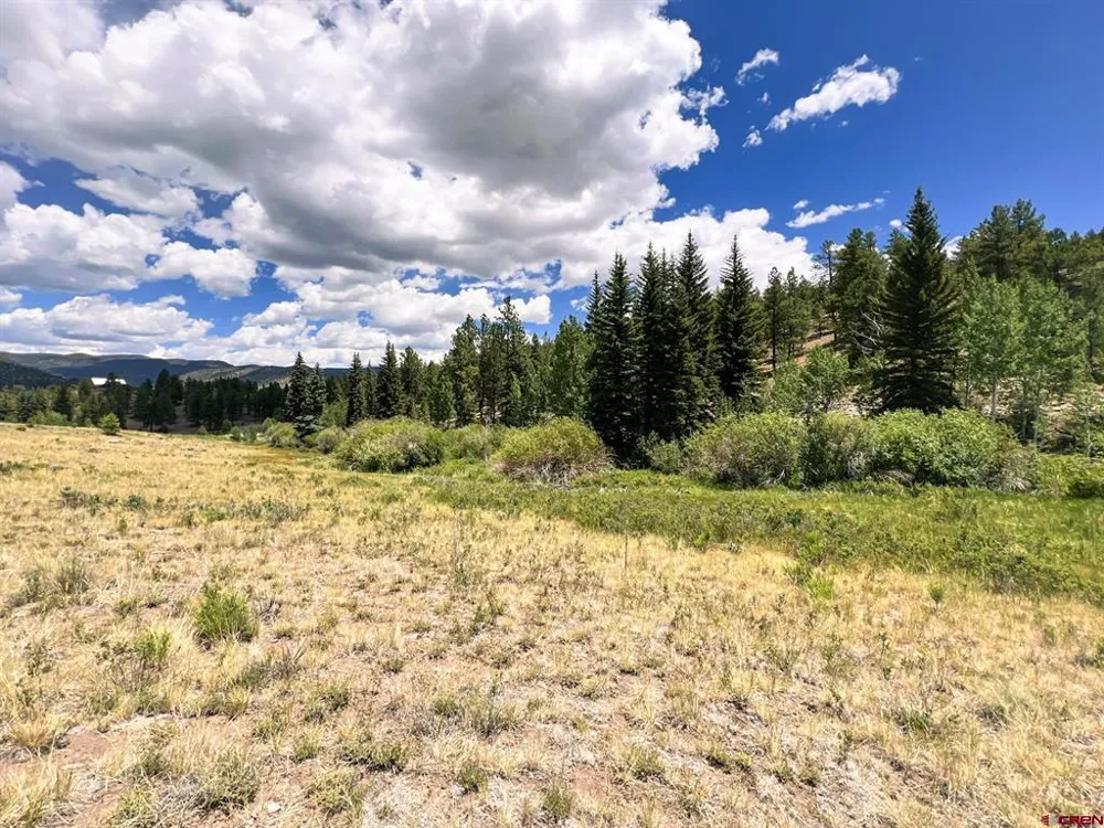 356 Church Creek Drive South Fork, CO 81154