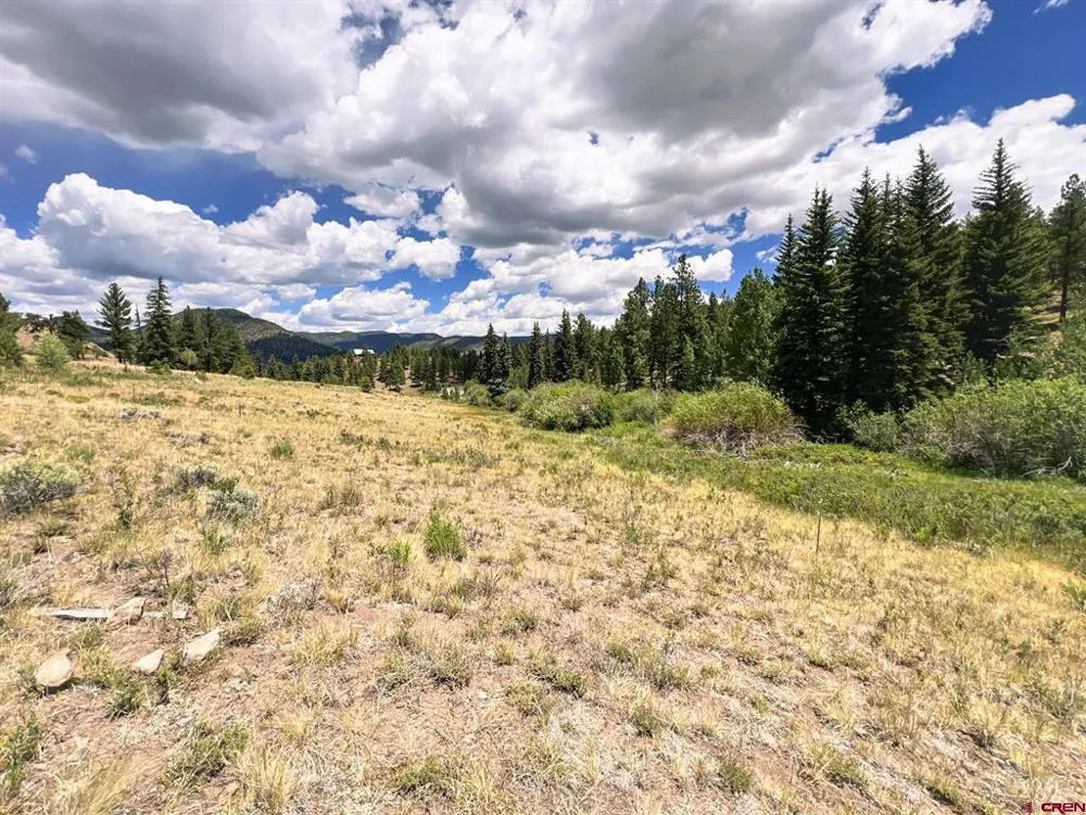 356 Church Creek Drive South Fork, CO 81154