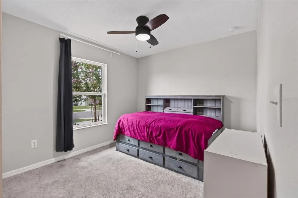 9972 MESIC WOODS AVENUE Seffner, FL 33584
