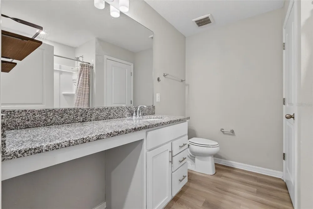 9972 MESIC WOODS AVENUE Seffner, FL 33584