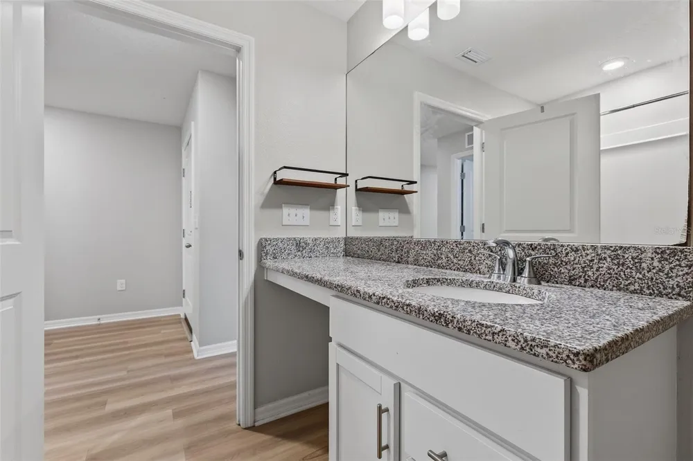 9972 MESIC WOODS AVENUE Seffner, FL 33584