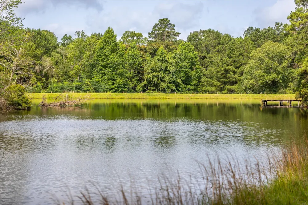 5326 Hwy 190w North Side Woodville, TX 75979