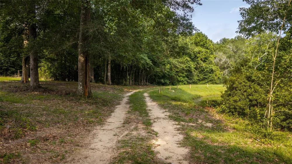 5326 Hwy 190w North Side Woodville, TX 75979