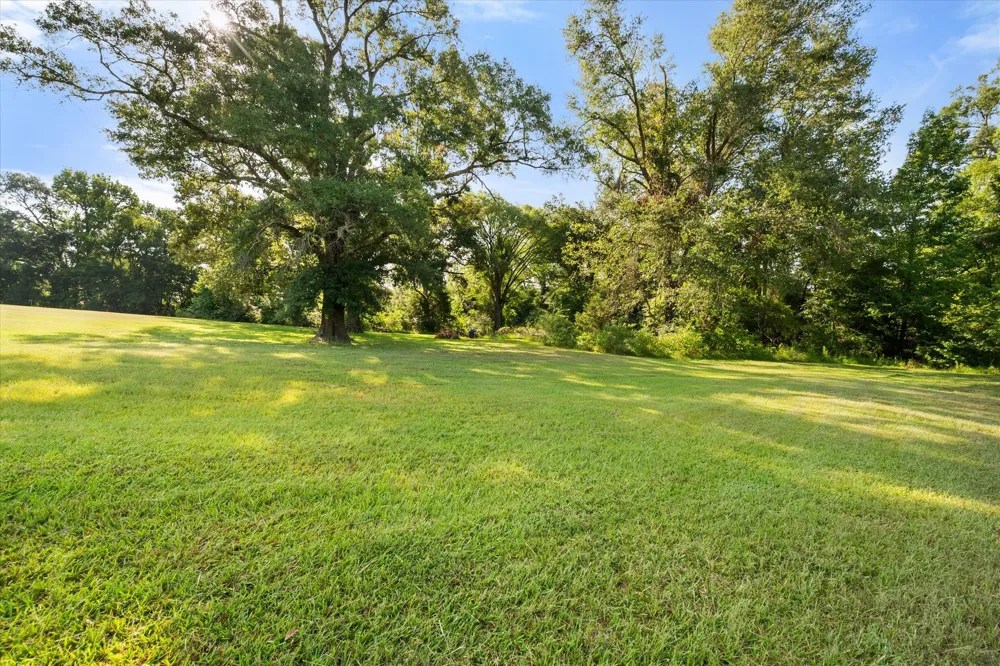 5568 S Fm 779 Alba, TX 75410