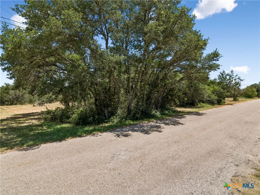 249 Grande Street Driftwood, TX 78619