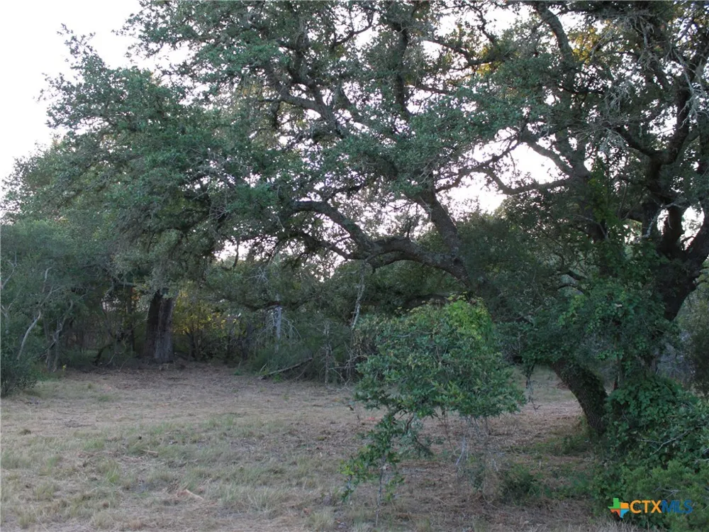 249 Grande Street Driftwood, TX 78619