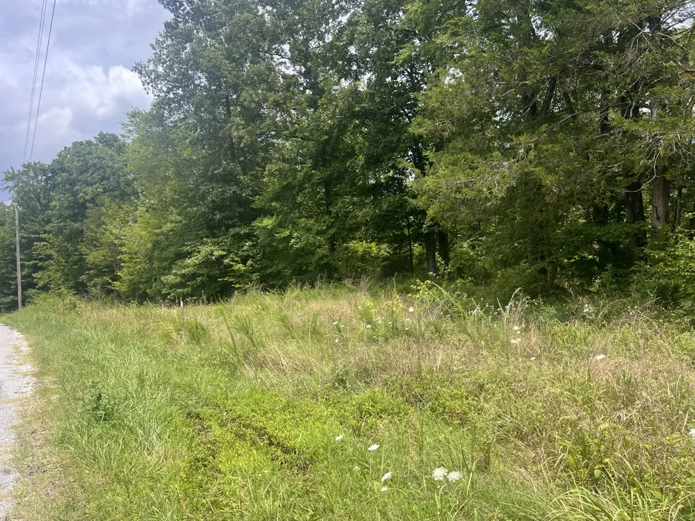 2 Toms Creek Lake Rd Linden, TN 37096