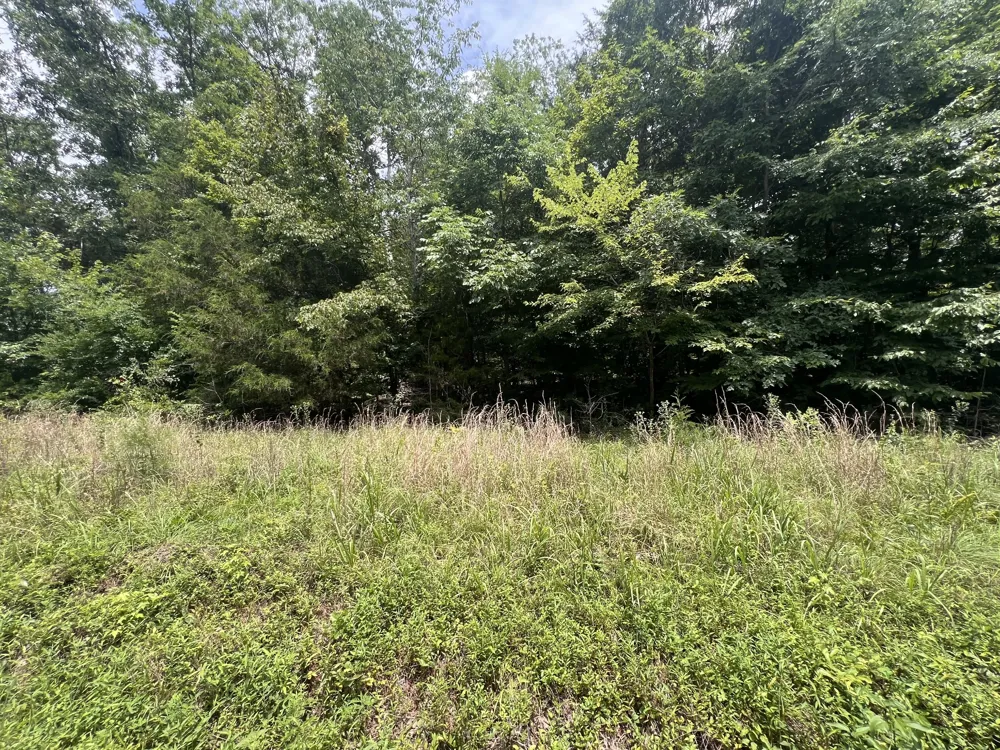 2 Toms Creek Lake Rd Linden, TN 37096