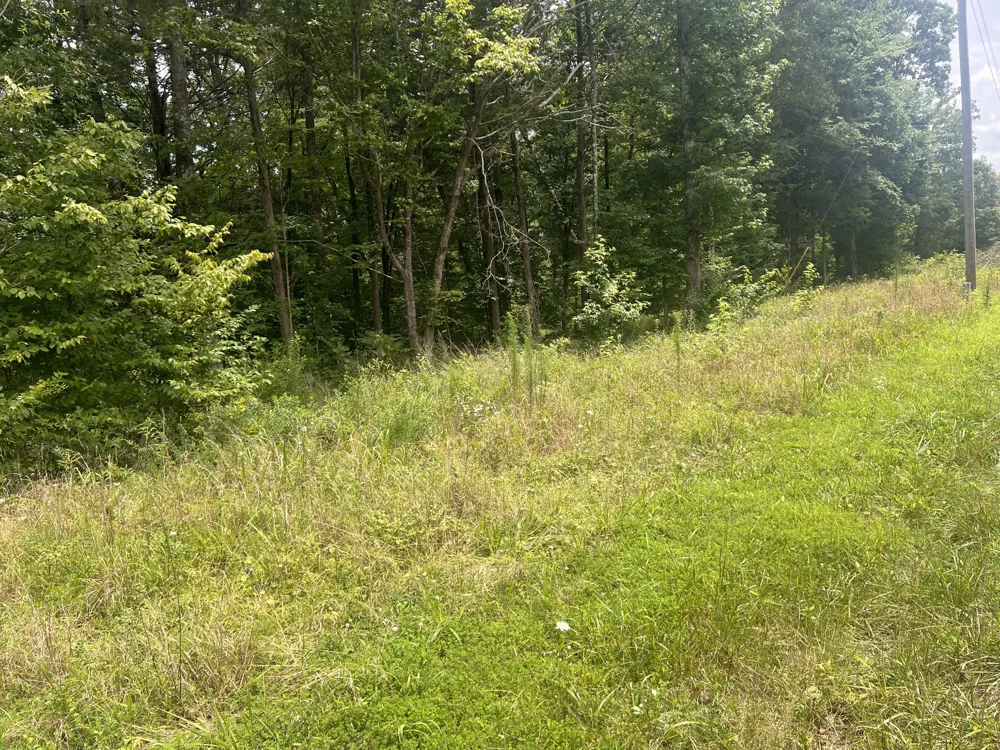 2 Toms Creek Lake Rd Linden, TN 37096