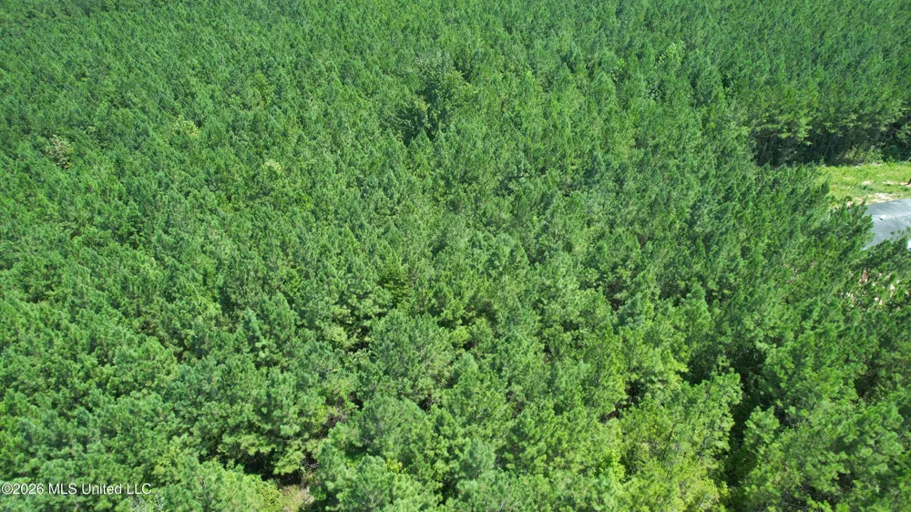 County Rd 2127 McCool, MS 39108