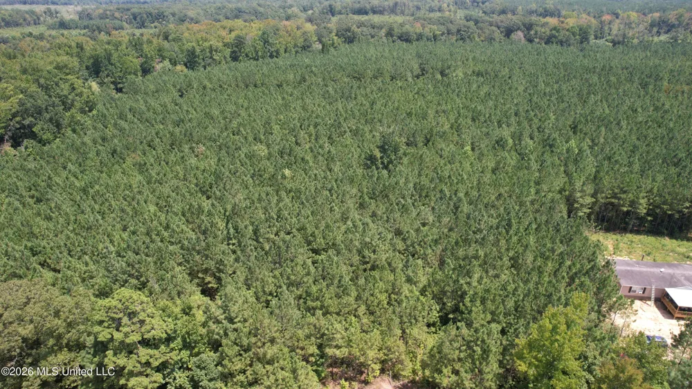 County Rd 2127 McCool, MS 39108