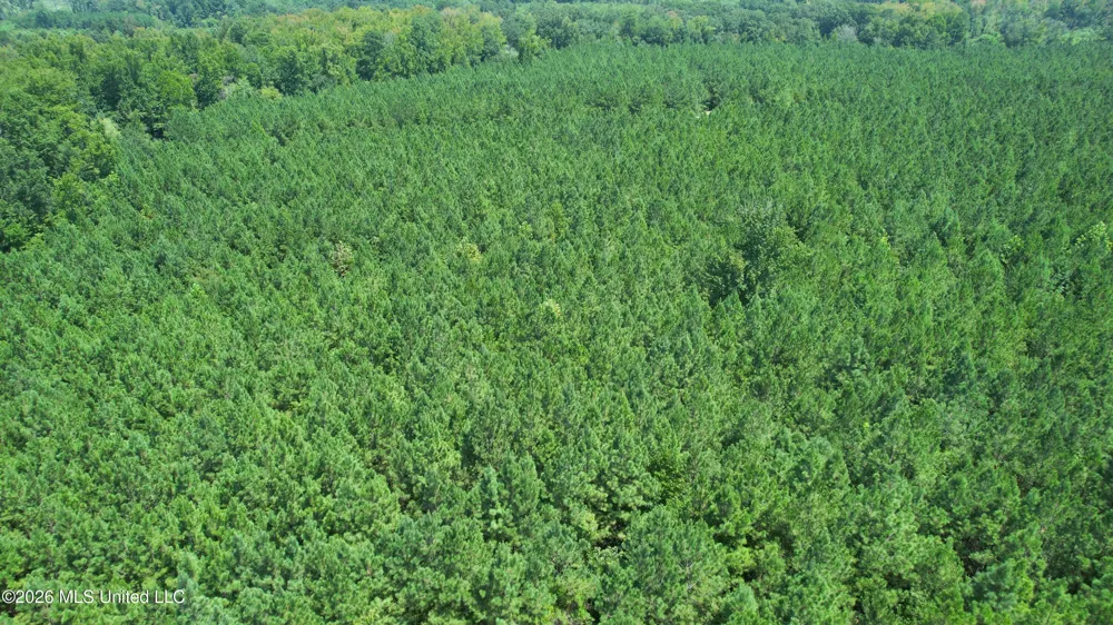 County Rd 2127 McCool, MS 39108