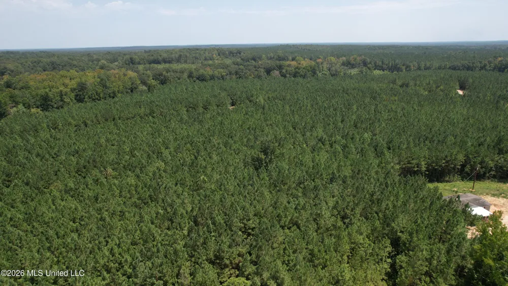 County Rd 2127 McCool, MS 39108