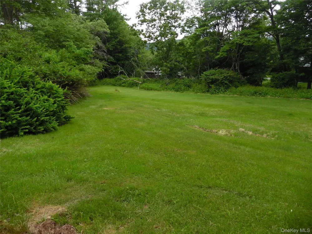 15 Cora Avenue Liberty, NY 12754