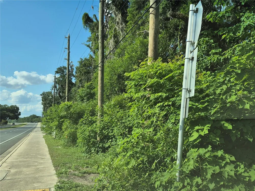 12267 US HIGHWAY 301 Oxford, FL 34484