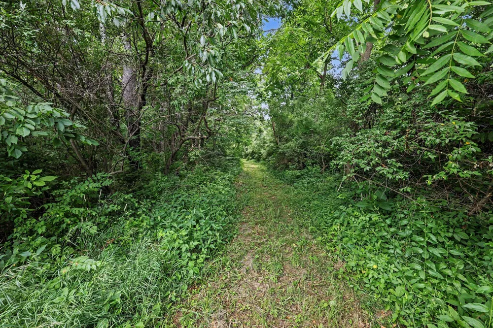 4794 Seymour Road Jackson, MI 49201