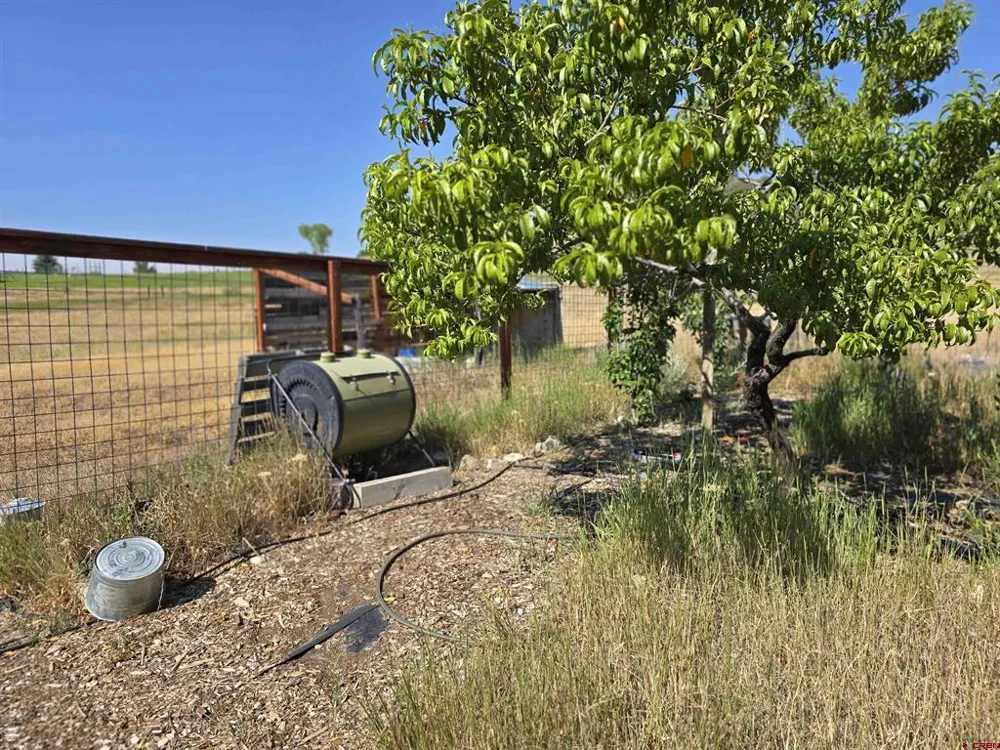 41050 Lamborn Mesa Road Paonia, CO 81428