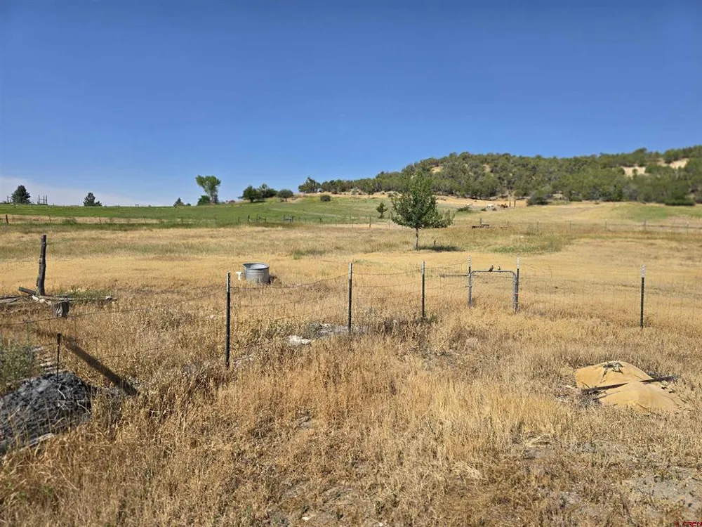 41050 Lamborn Mesa Road Paonia, CO 81428