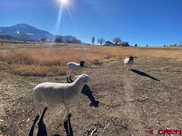 41050 Lamborn Mesa Road Paonia, CO 81428