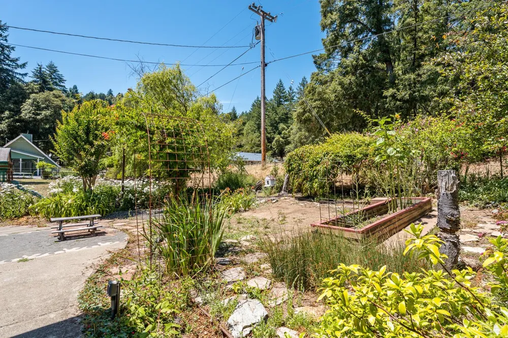 1853 Tulip Place Willits, CA 95490