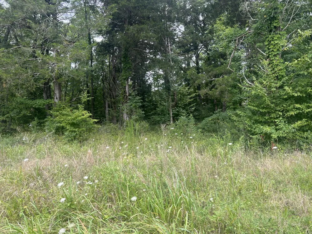 3 Toms Creek Lake Rd Linden, TN 37096