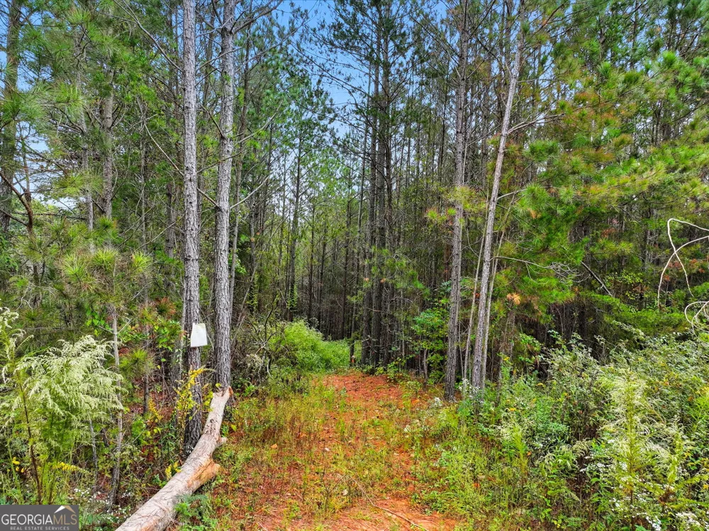 0 Old Pleasant Valley RD Talking Rock, GA 30175