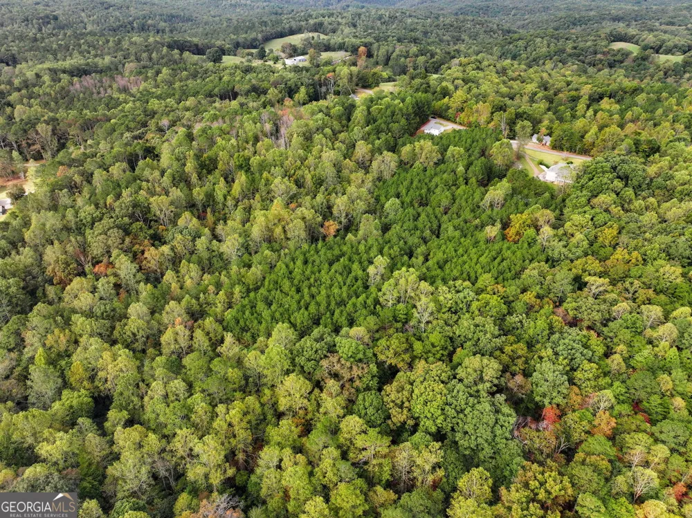 0 Old Pleasant Valley RD Talking Rock, GA 30175