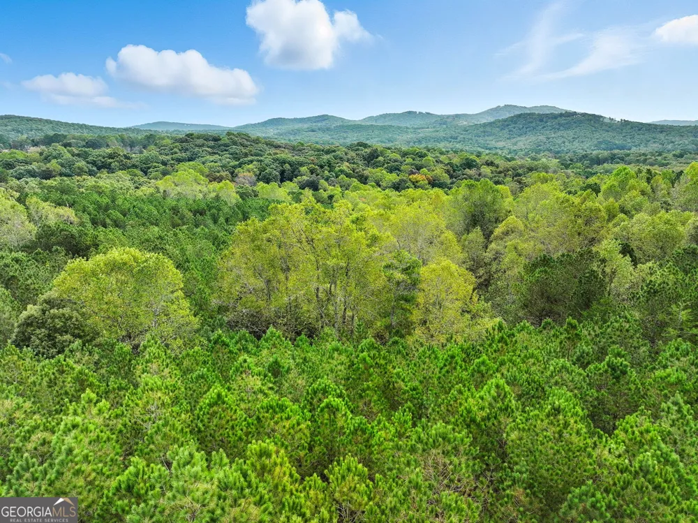 0 Old Pleasant Valley RD Talking Rock, GA 30175