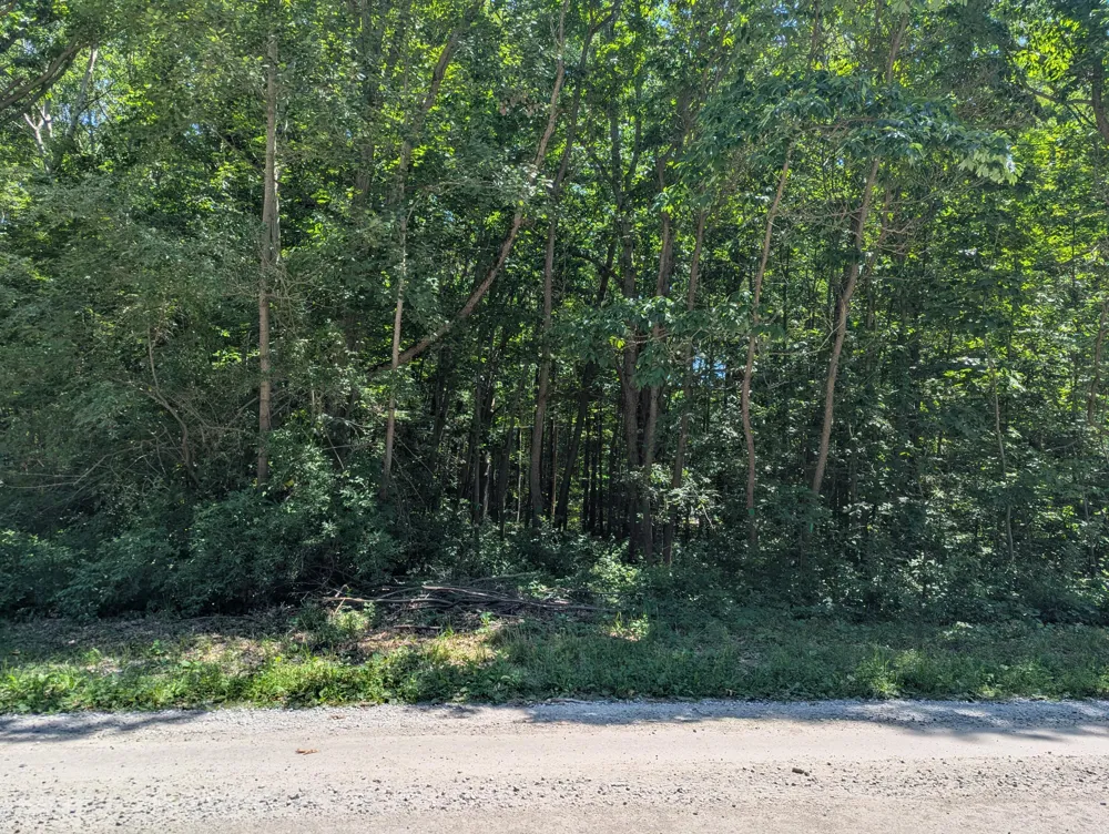 15320 Larsen Avenue NE Gowen, MI 49326