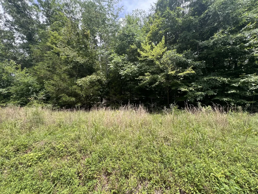4 Toms Creek Lake Rd Linden, TN 37096