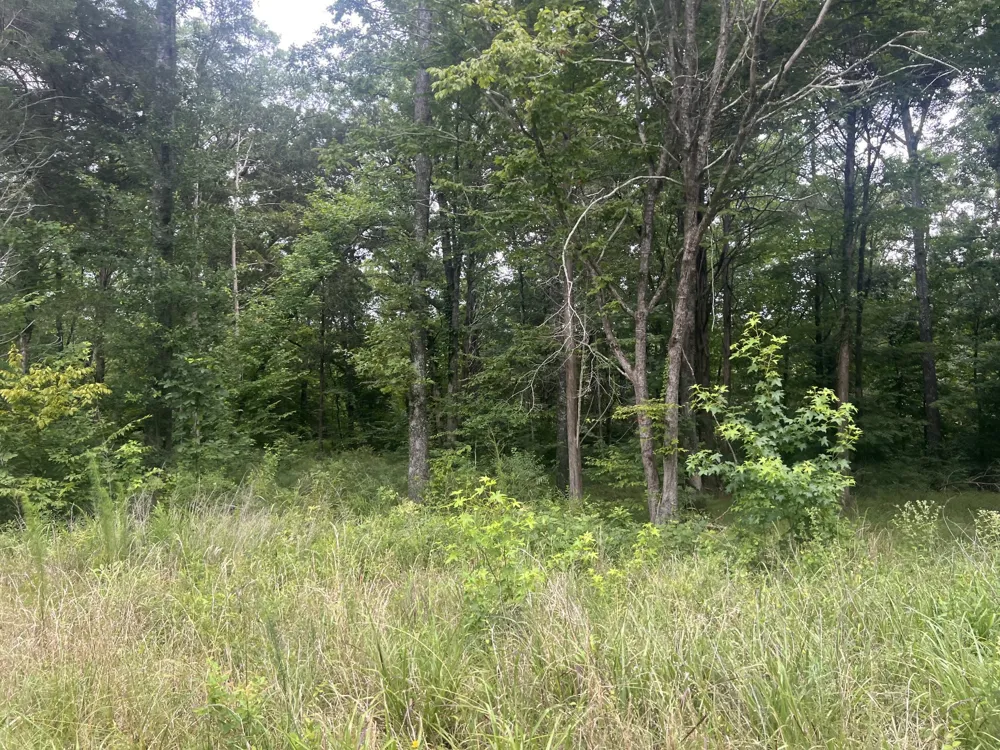 4 Toms Creek Lake Rd Linden, TN 37096